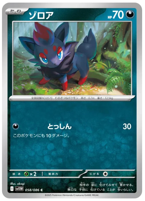 Zorua 058/086 (White Flare)