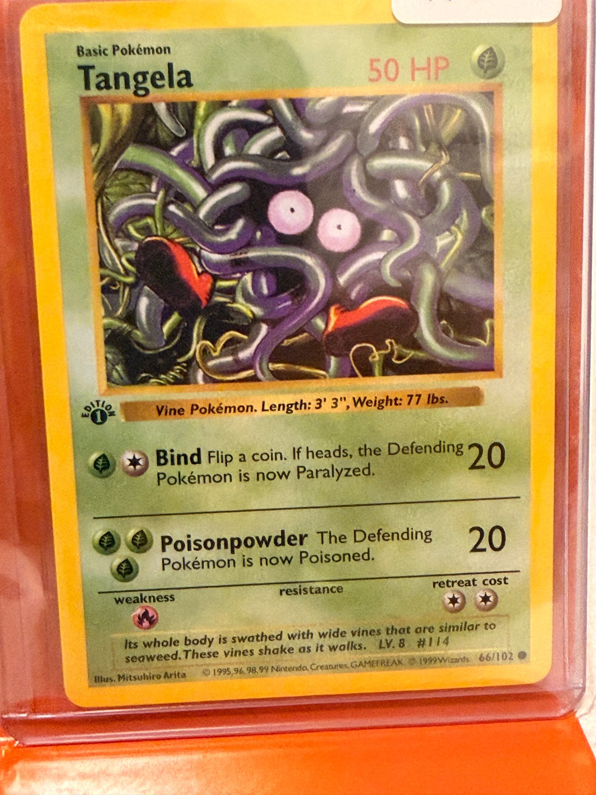 Tangela 66 · 1st Edition (Base Set (1st Edition & Shadowless))