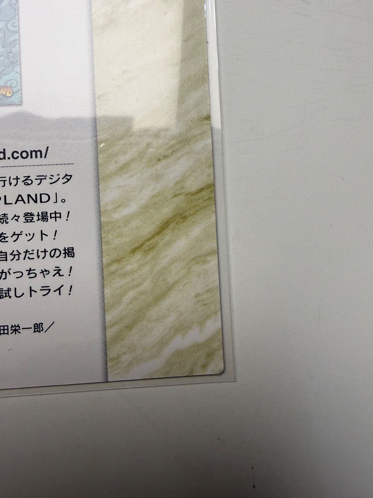 Jump Festa 2005 Card Jump Land Naruto Luffy Goku Japanese