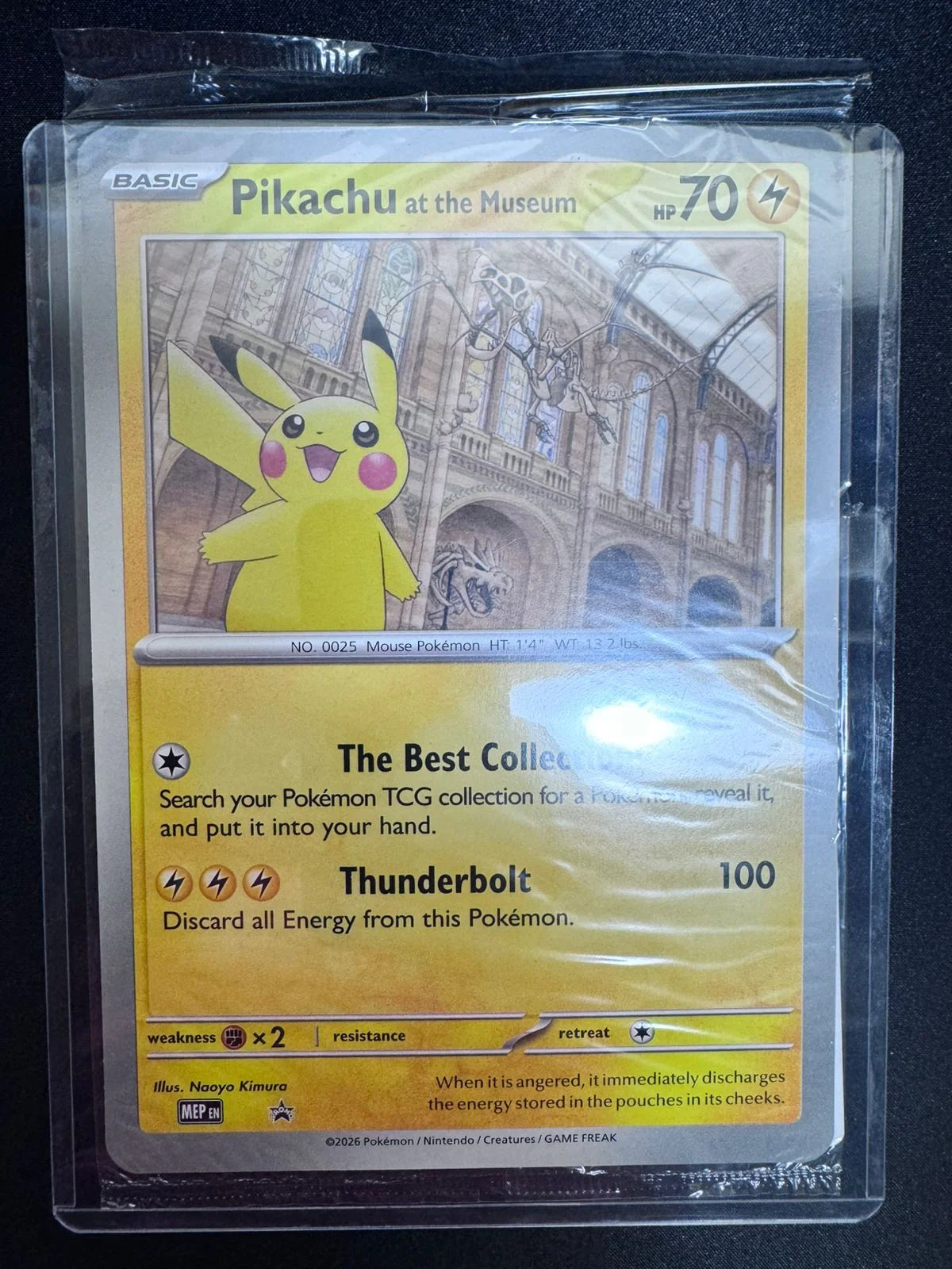 Pikachu at the Museum (Jumbo Cards) (Sealed)