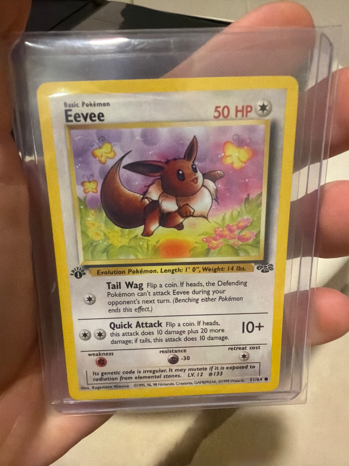 Eevee 51 · 1st Edition (Jungle)