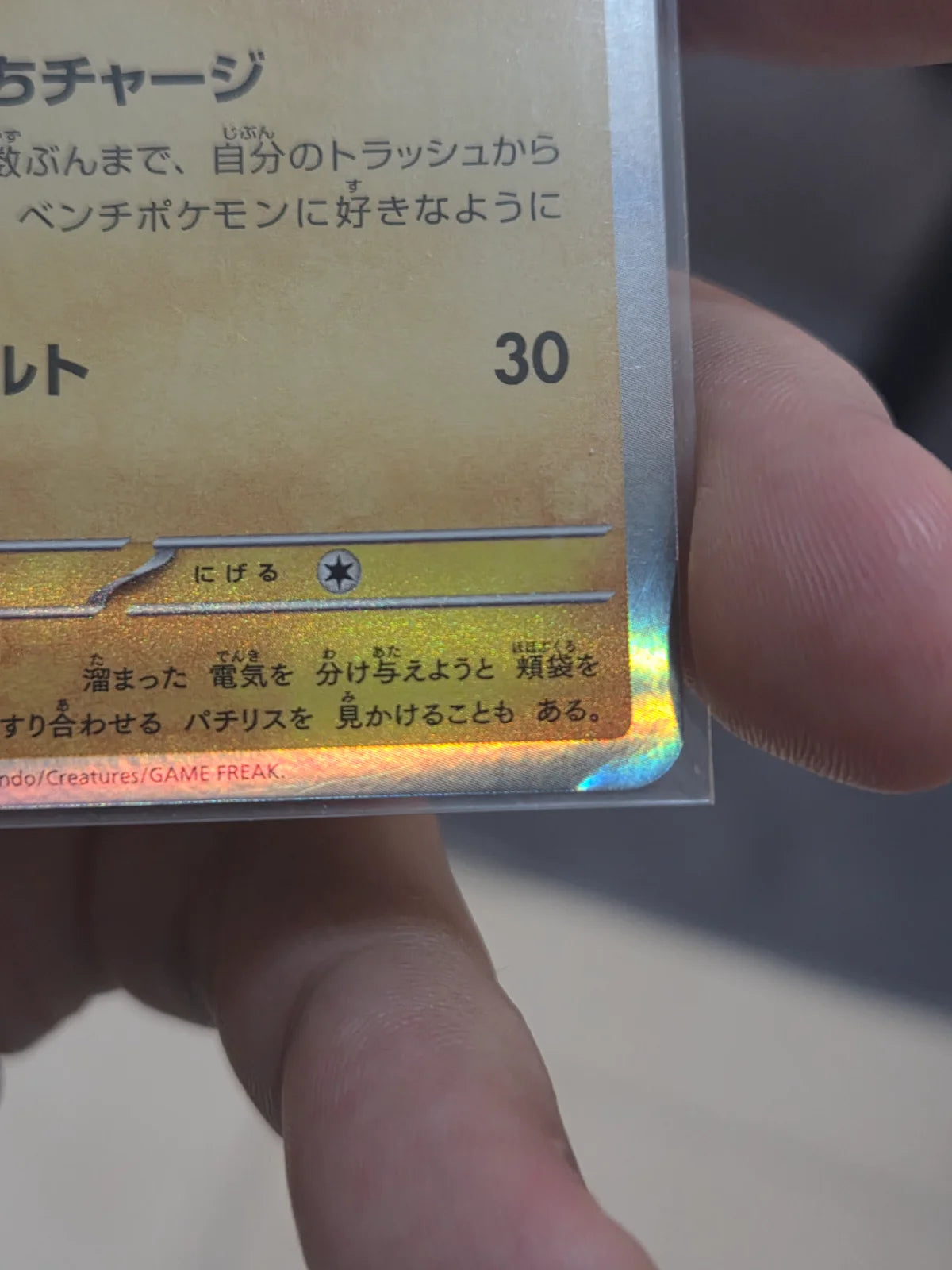 Pachirisu (JP) 129/SV-P · Holofoil (Scarlet & Violet Promo JP)