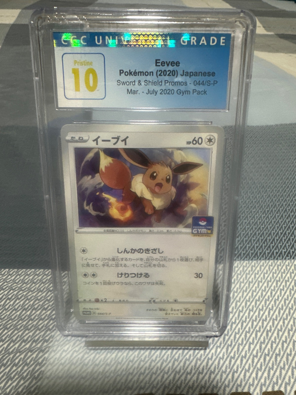 Eevee 044/S-P GYM Pack 2020 JP