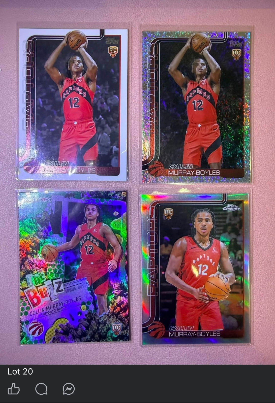 Collin Murray-Boyles Lot