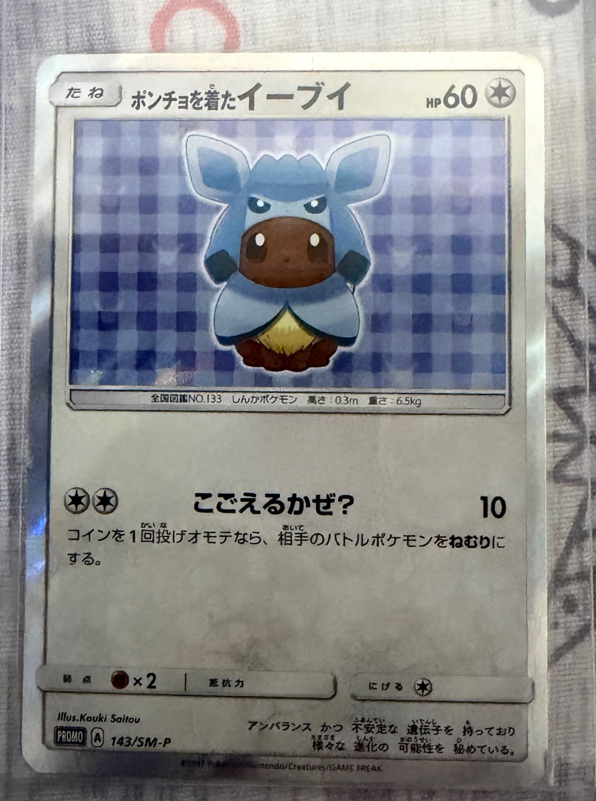 Poncho Eevee (JP) 143/SM-P (Sun & Moon Promos (JP))