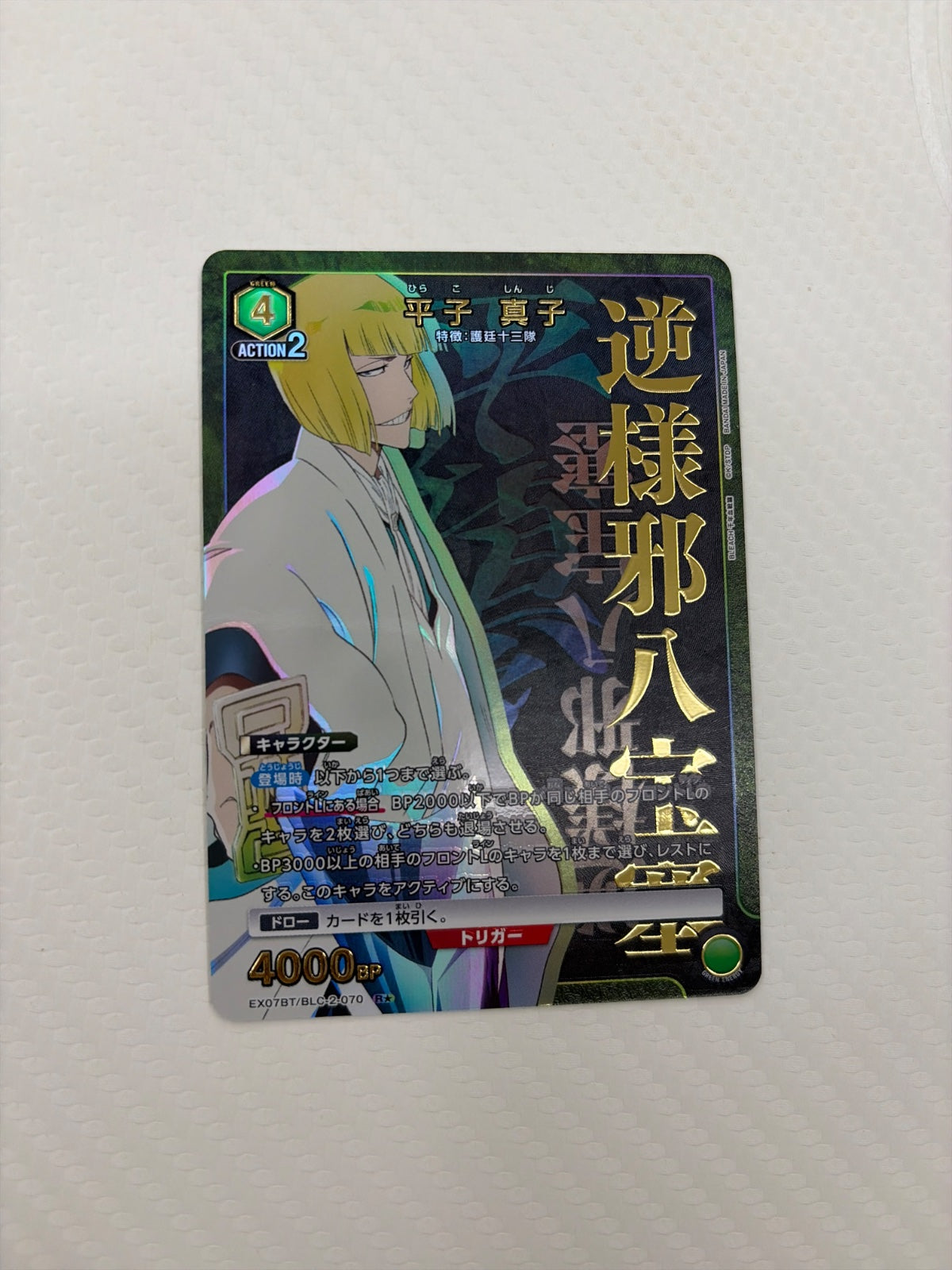 Shinji Hariko