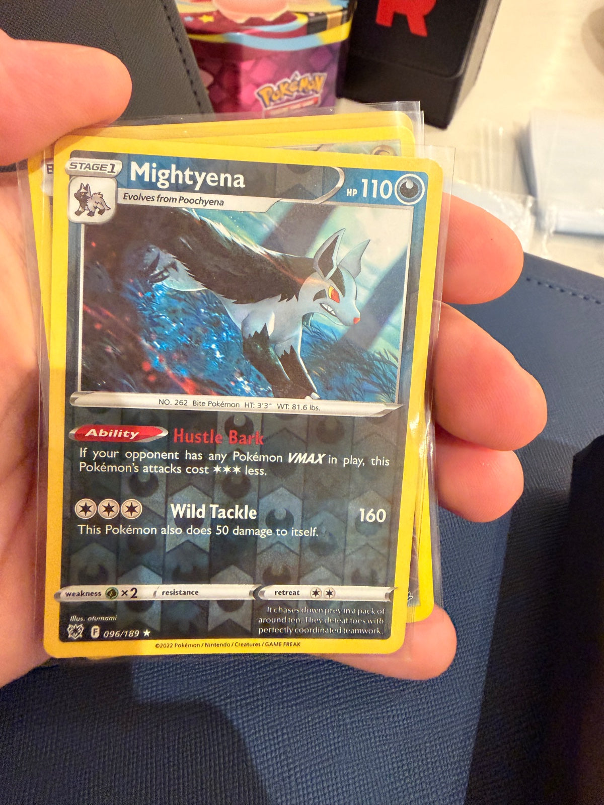 Mightyena 096/189 · Reverse Holofoil (Astral Radiance)