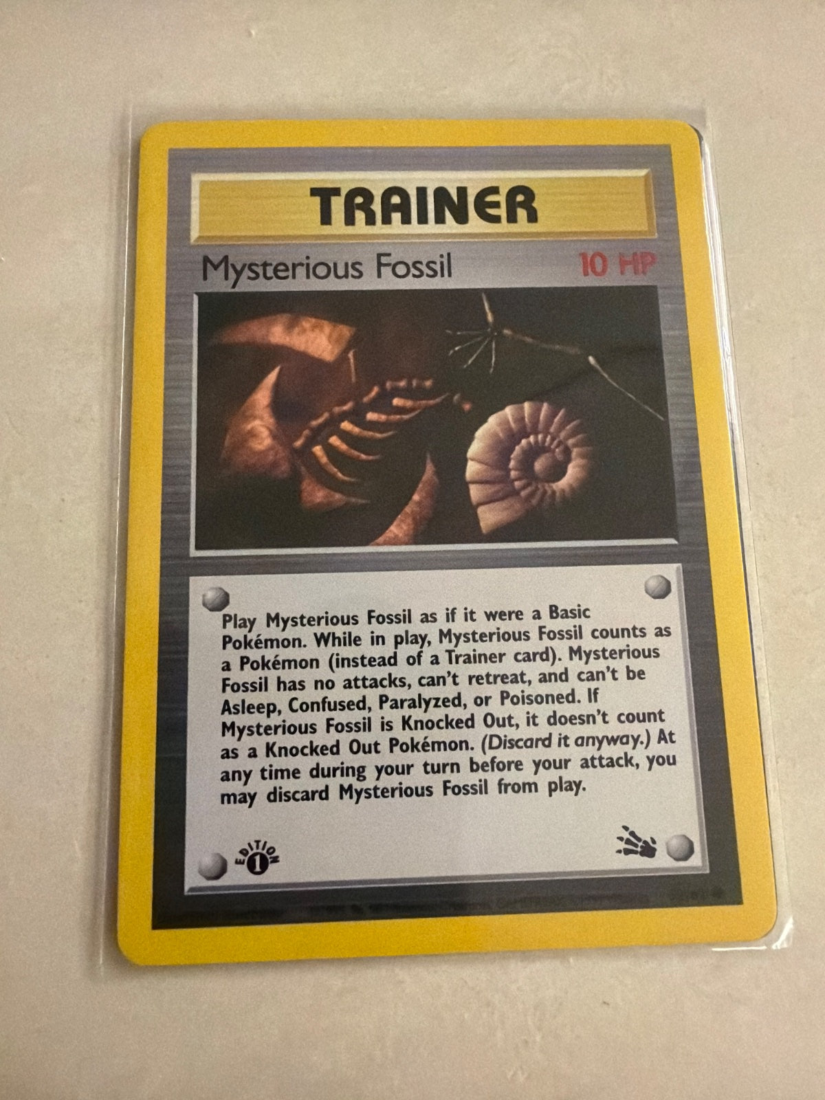 Mysterious Fossil 62 · 1st Edition