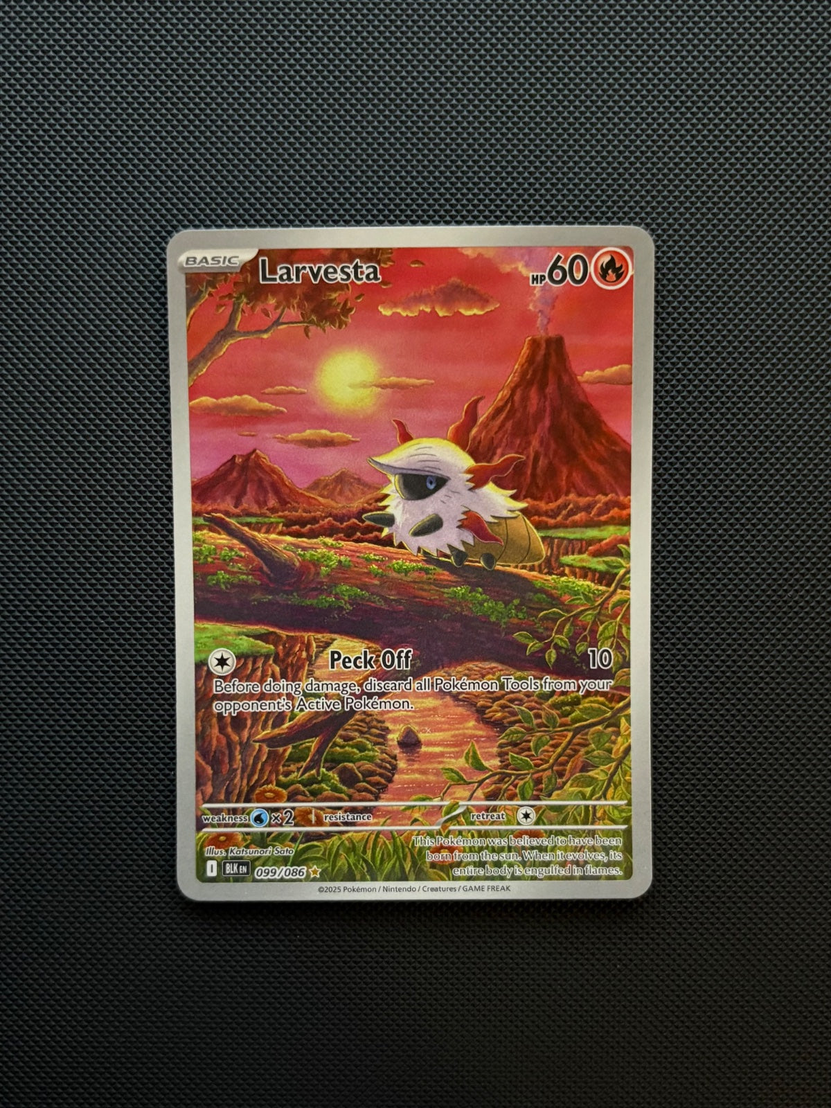 Larvesta 099/086 (Black Bolt)
