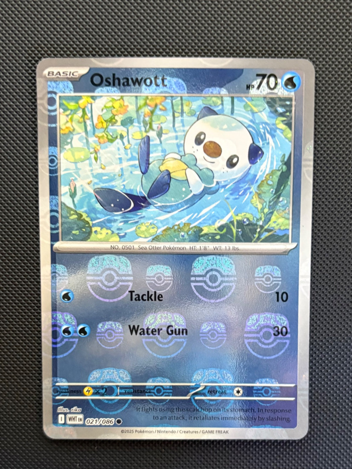 Oshawott (Master Ball Pattern) 021/086 (White Flare)