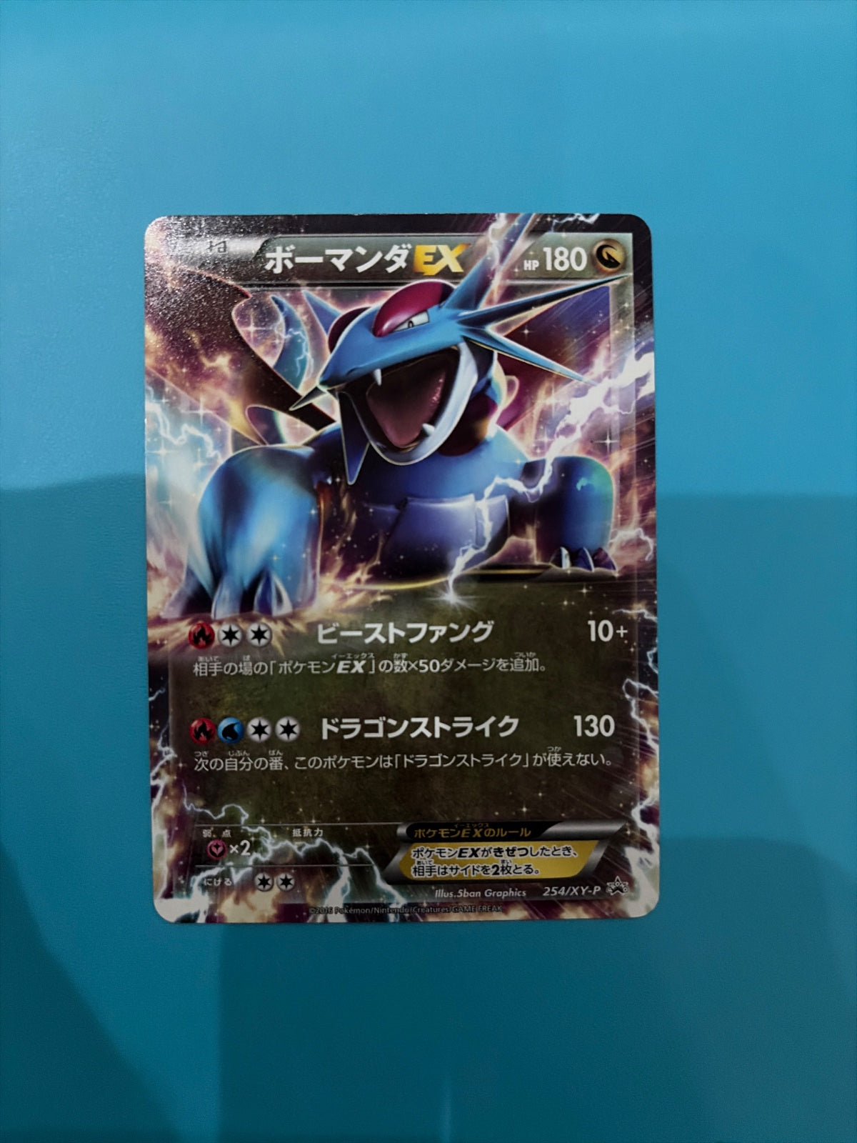 Salamence (JP) 254/XY-P (XY Promos (JP))