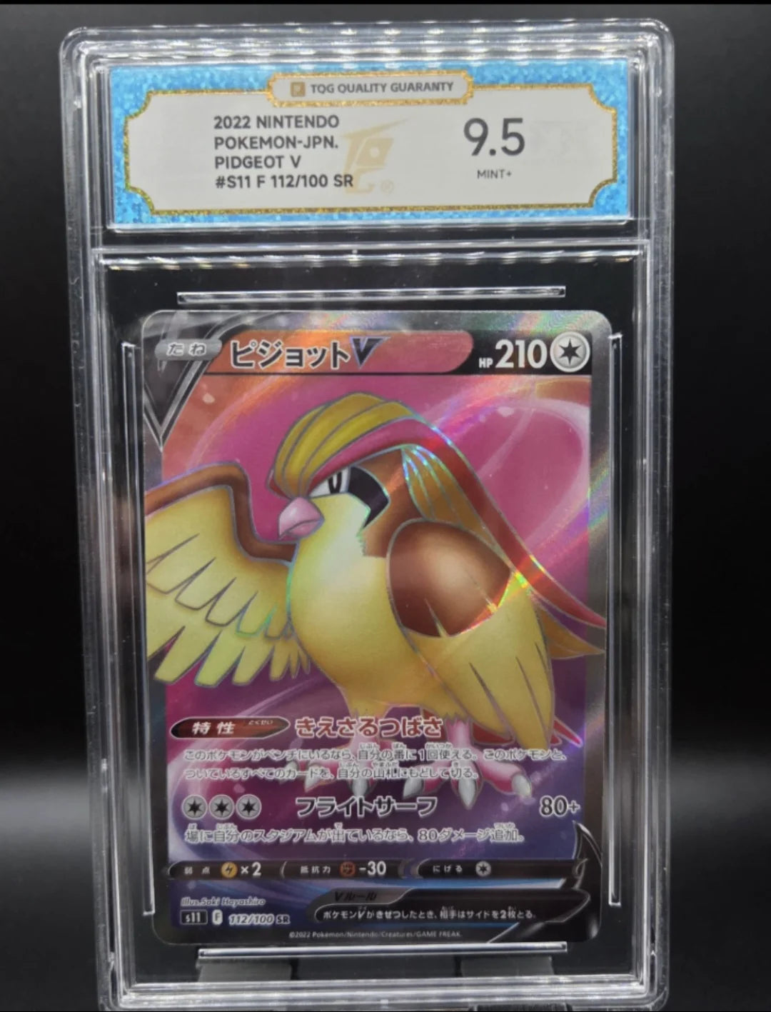 PIDGEOT V