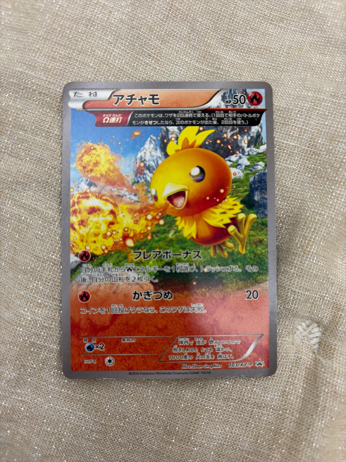 Torchic (JP) 103/XY-P (XY Promos (JP))
