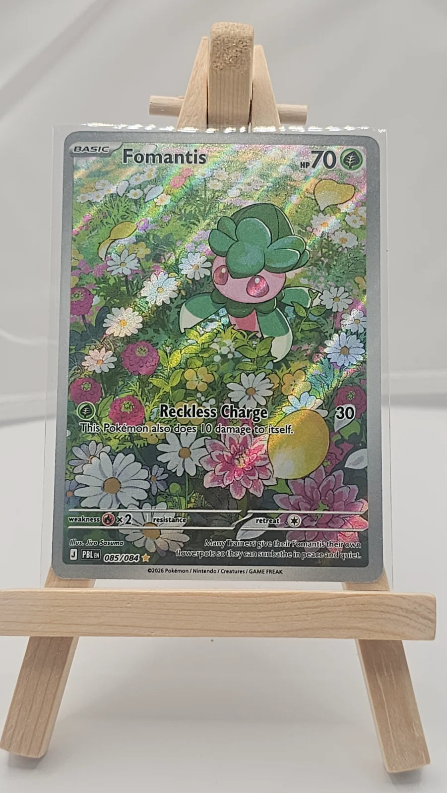Fomantis 085/084 (Pitch Black)