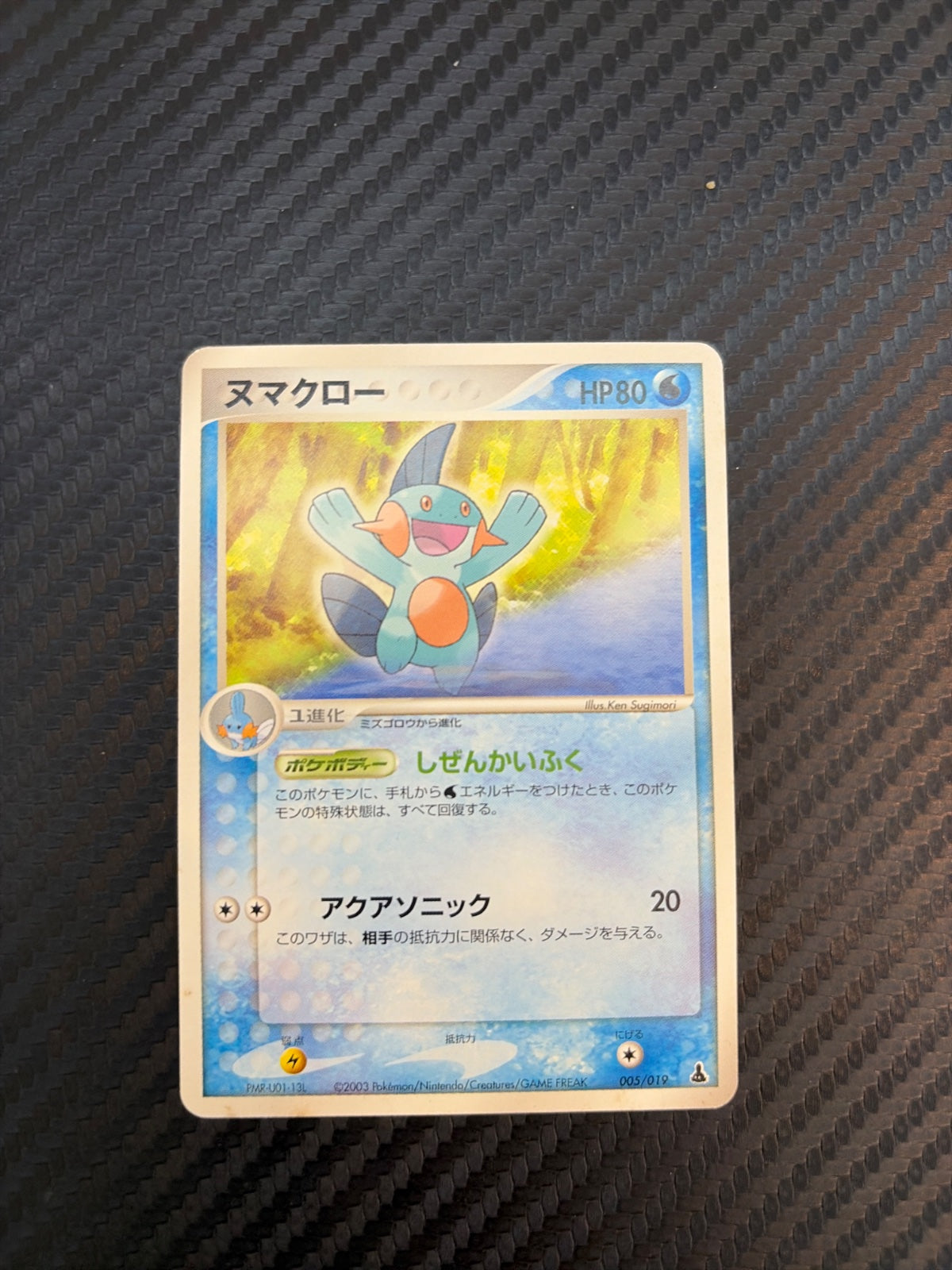 Marshtomp - 005/019 · Unlimited (Mudkip Constructed Starter Deck)