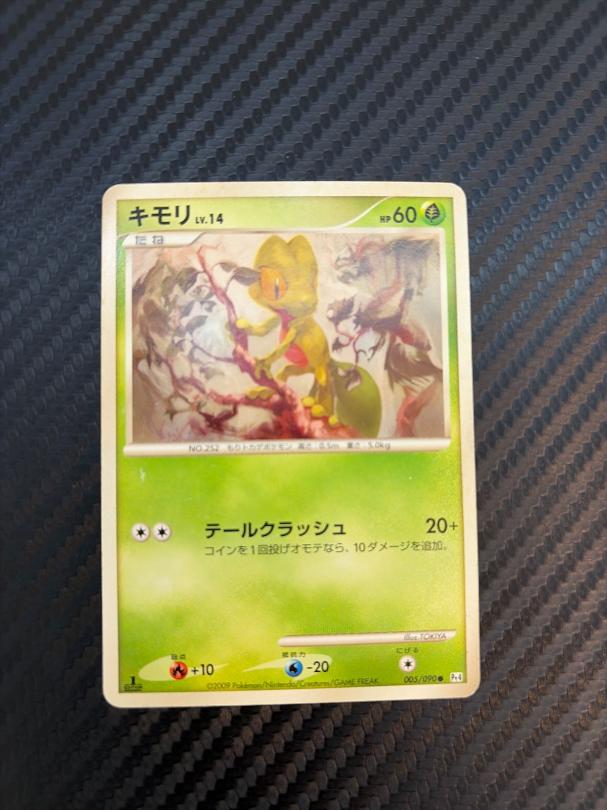 Treecko (JP) 005/090 · 1st Edition (Advent of Arceus)