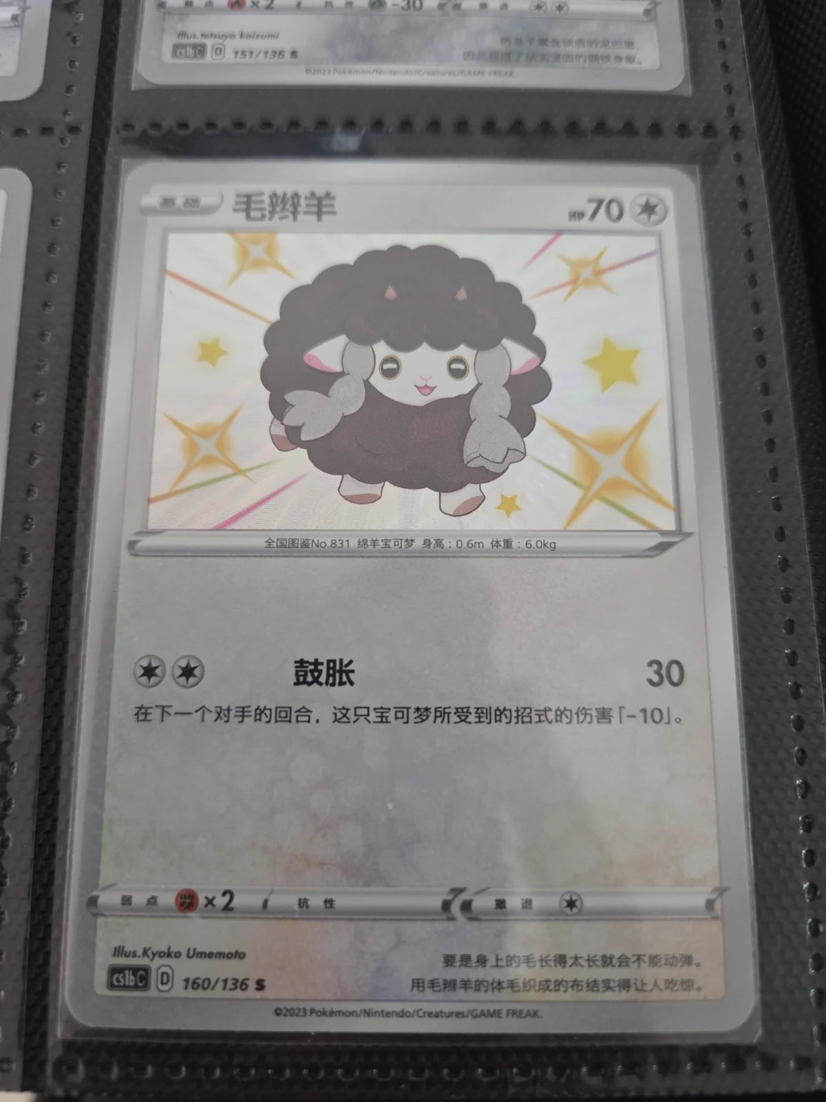 Wooloo 160/136 Chinese Baby Shiny