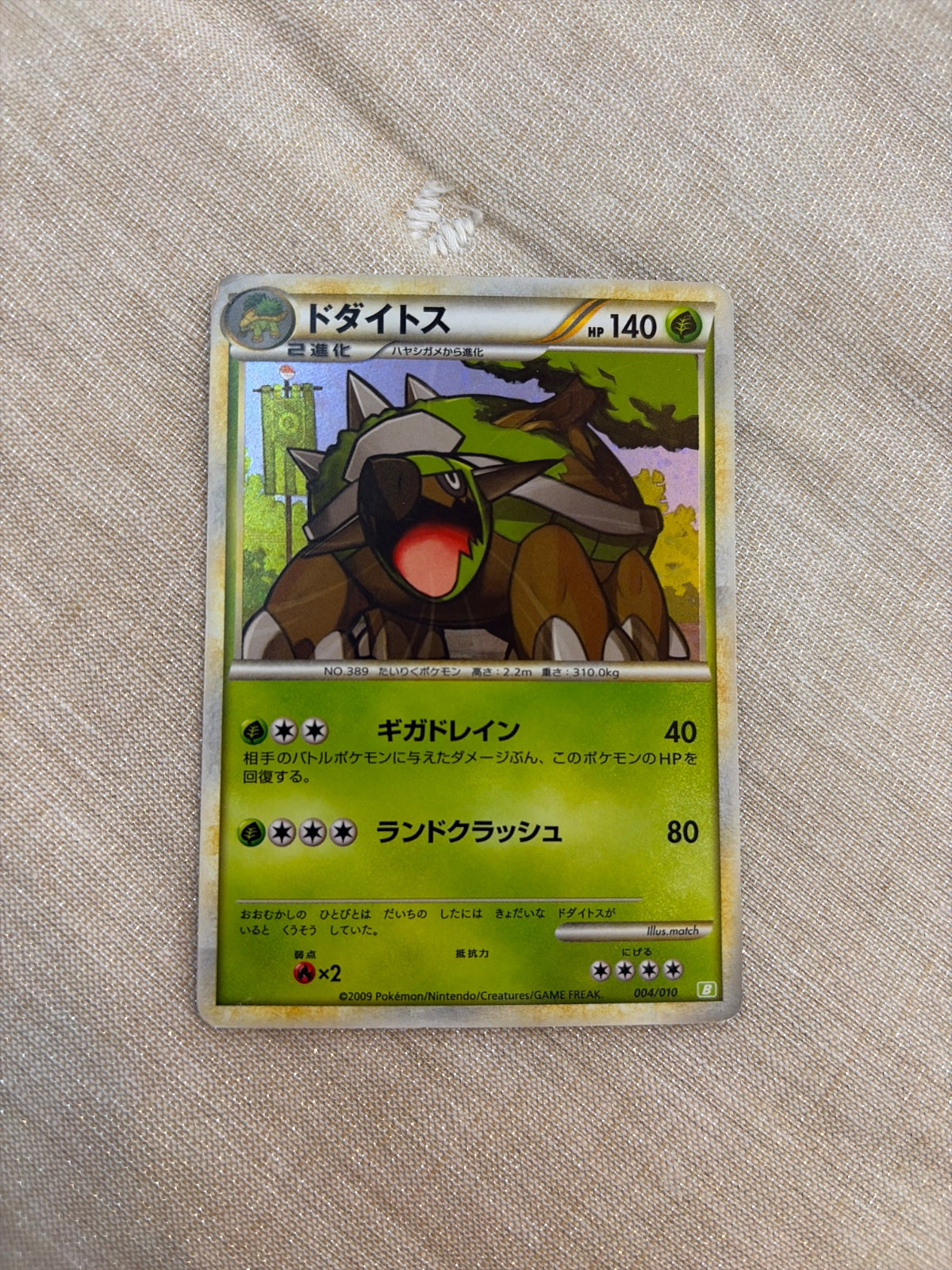 Torterra 004/010 · Holofoil