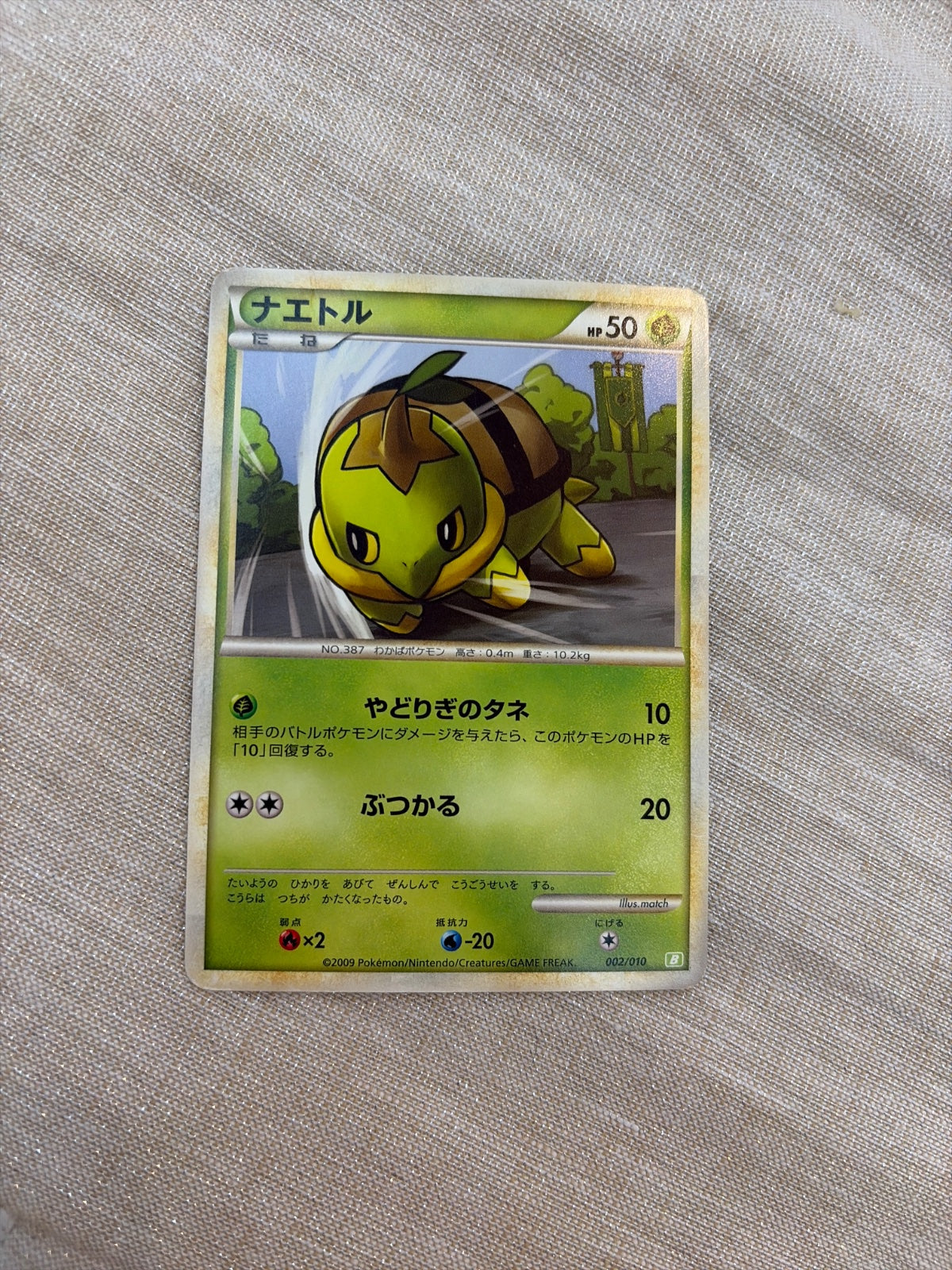 Turtwig 002/010 (Battle Starter Deck (Torterra))