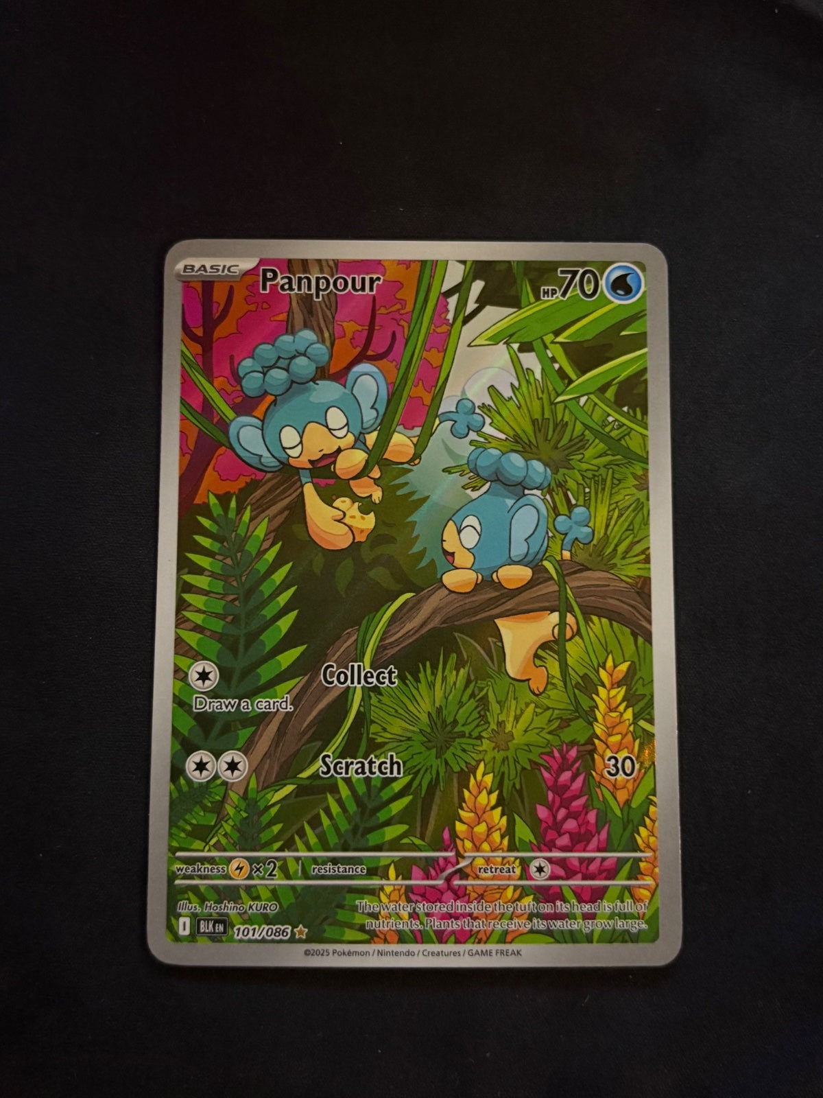 Panpour 101/086 (Black Bolt)