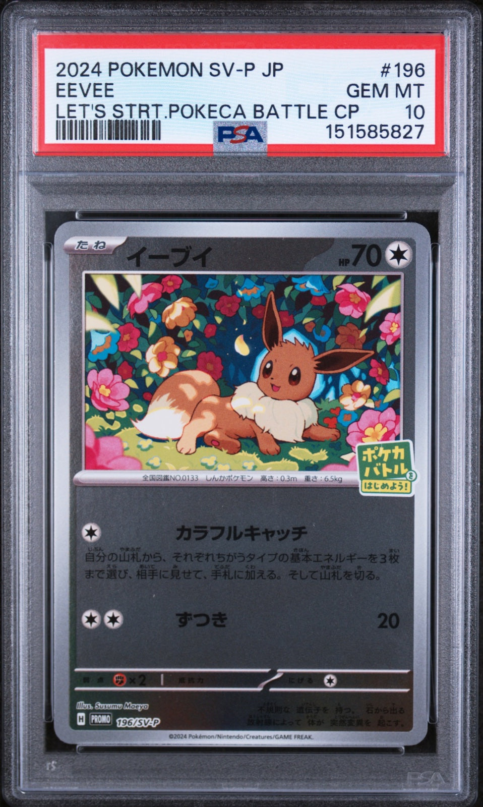 Eevee (JP) 196/SV-P (Scarlet & Violet Promo JP) — PSA 10