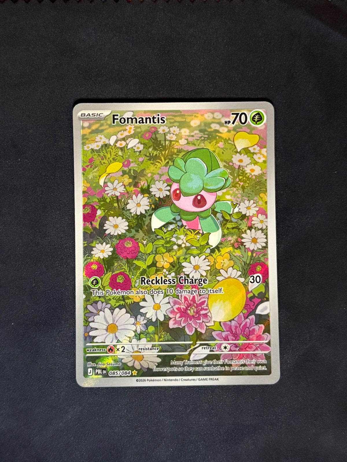Fomantis 085/084 (Pitch Black)