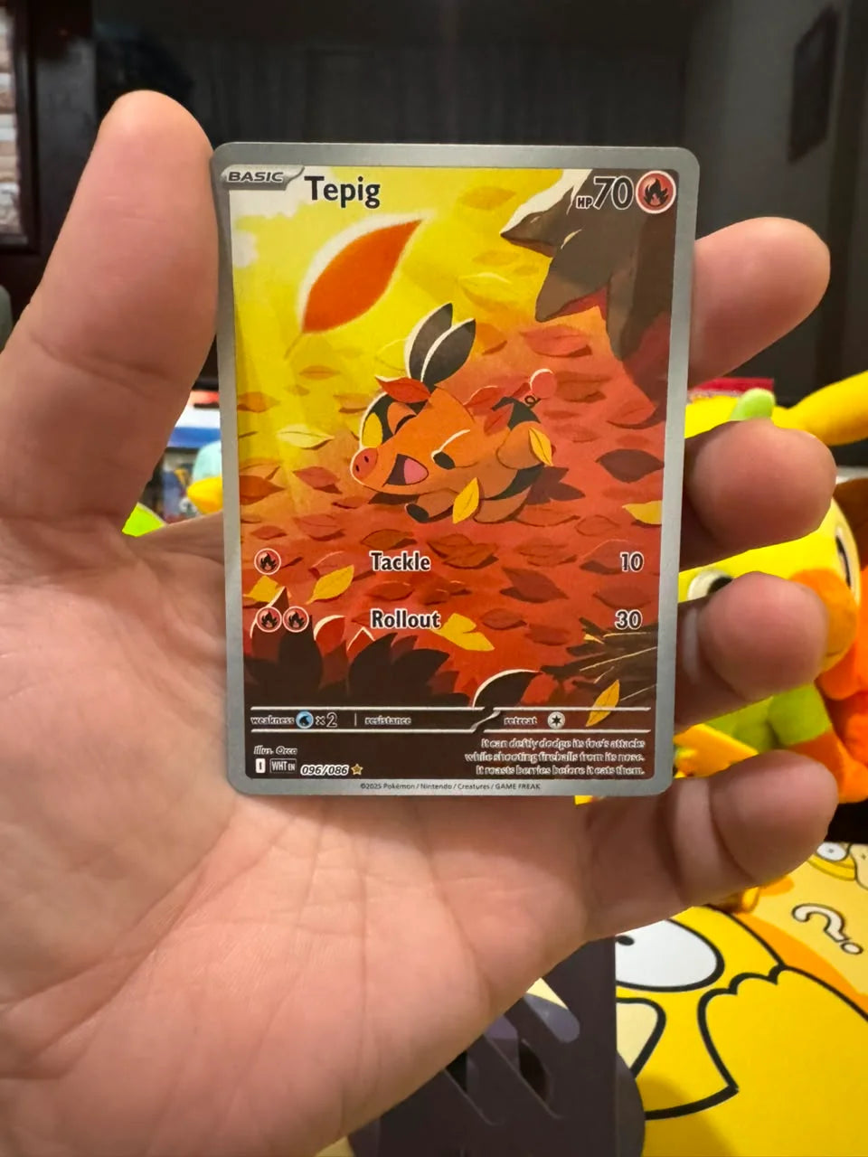 Tepig 096/086 (White Flare)