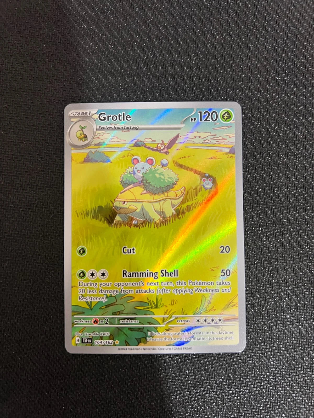 Grotle 164/162 (Temporal Forces)