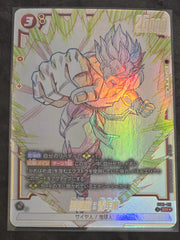 Dragon Ball Super Divers Son Gohan Youth ST01-011