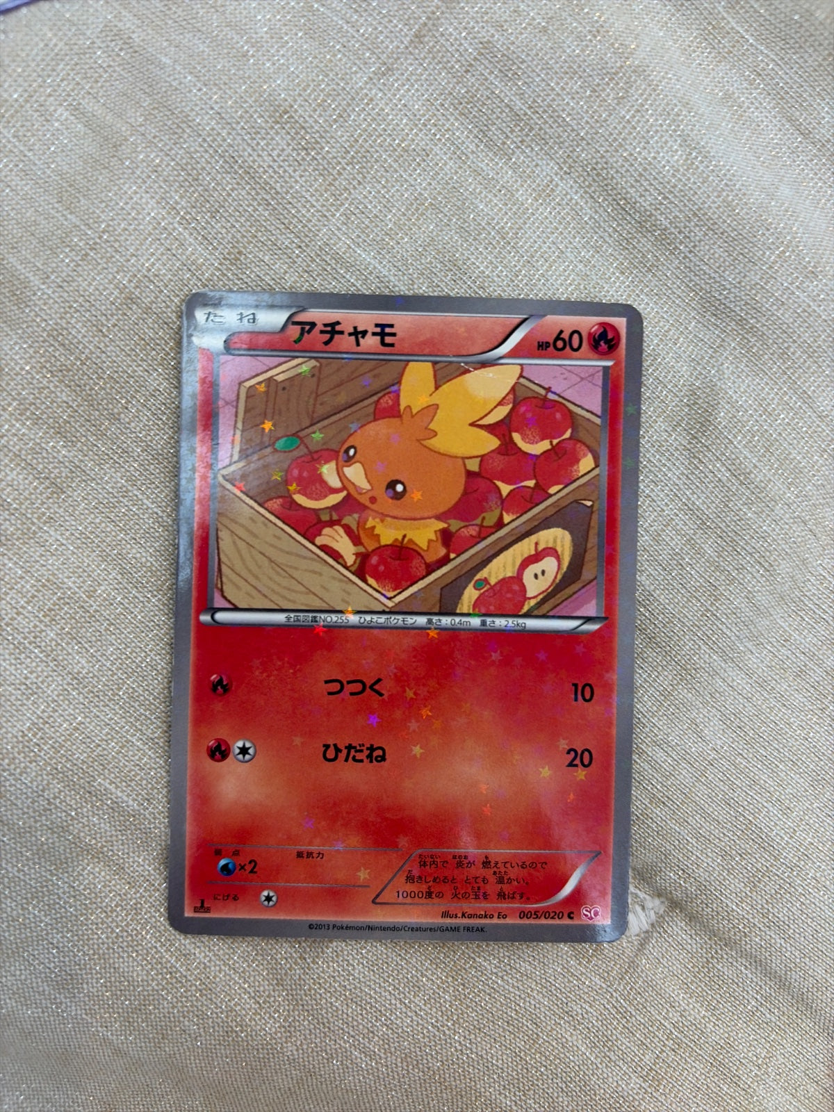 Torchic (JP) 005/020 · 1st Edition Holofoil (Shiny Collection)