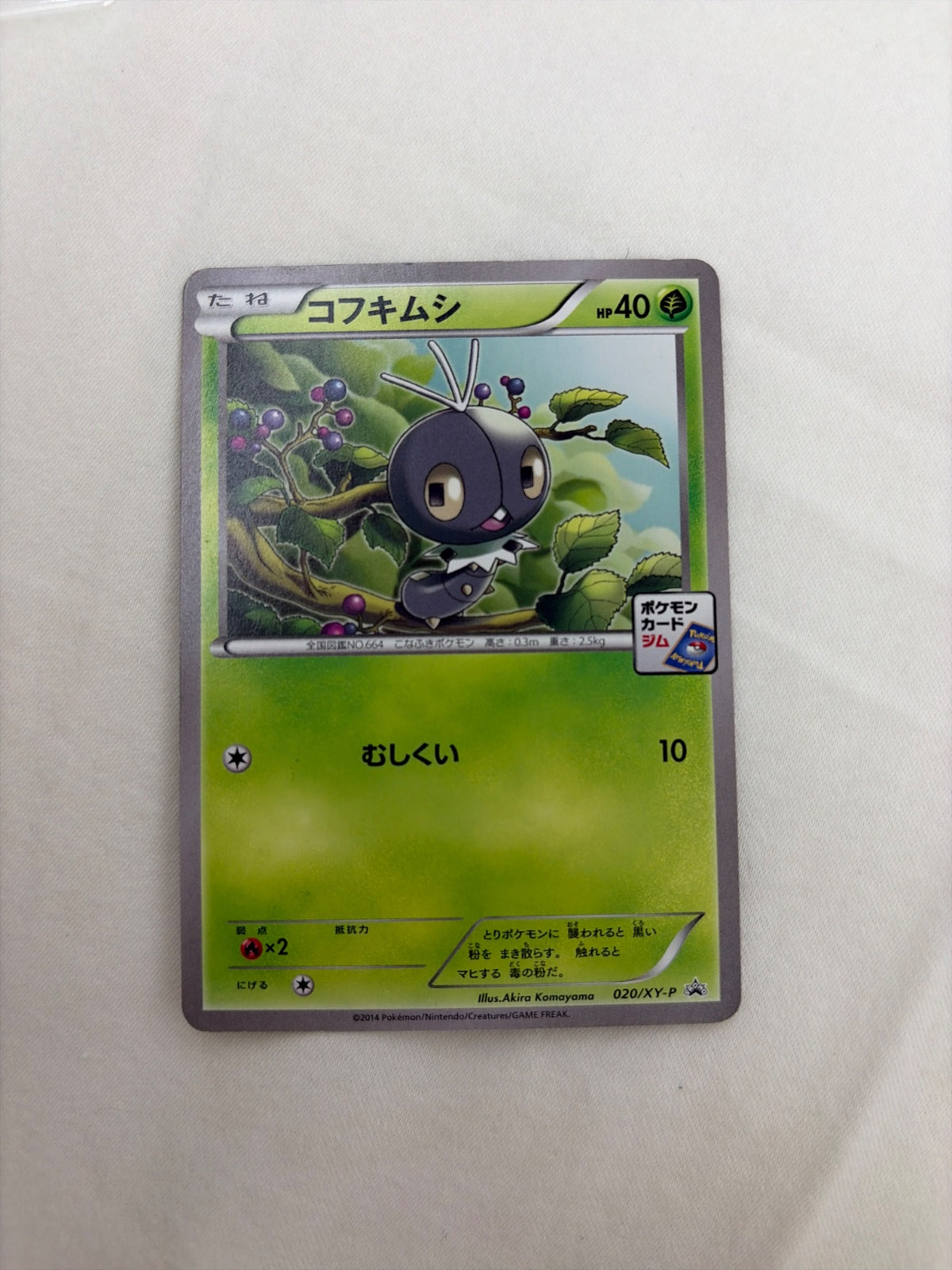 Scatterbug (JP) 020/XY-P (XY Promos (JP))