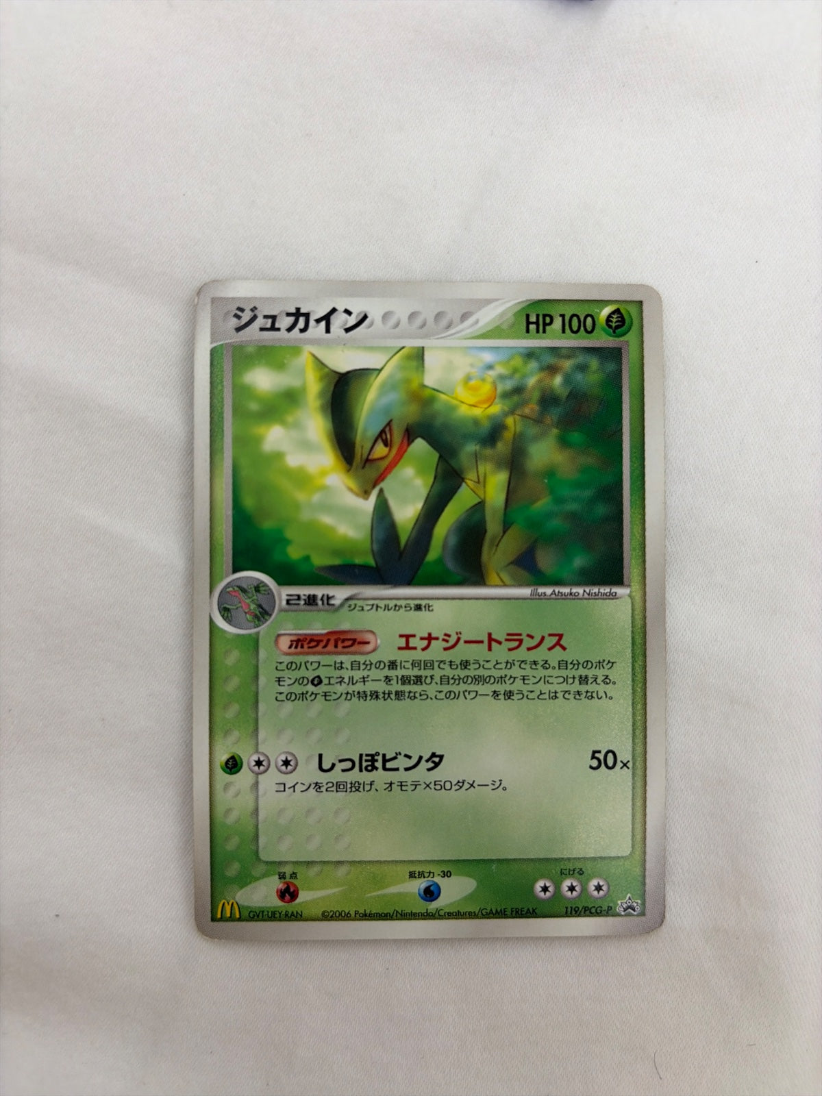 Sceptile (JP) 119/PCG-P (PCG-P Promos)