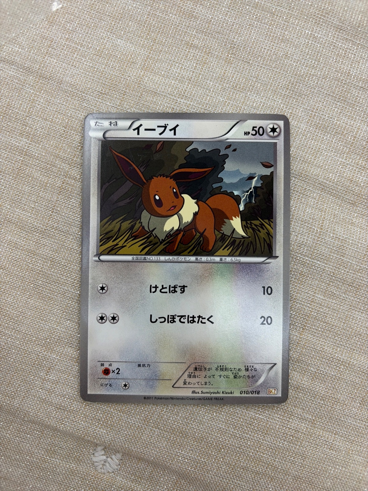 Eevee 010/018 (BKZ: Zekrom-EX Battle Strength Deck)