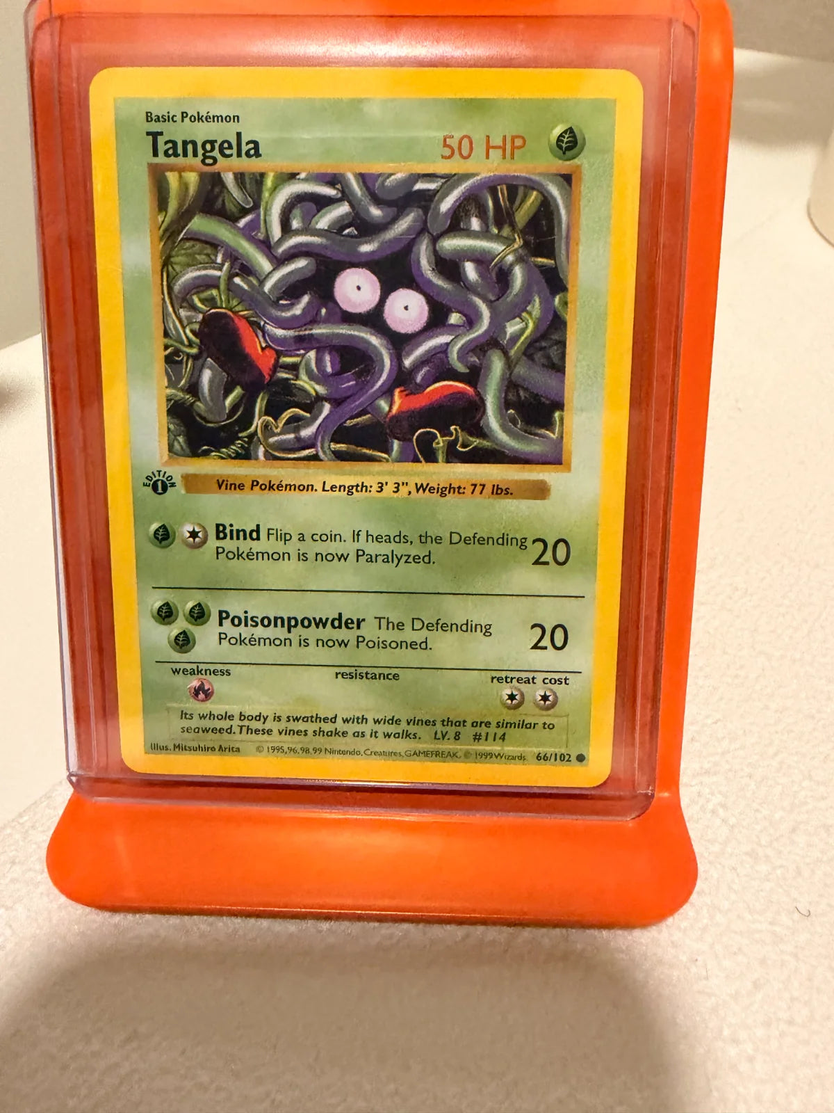 Tangela 66 · 1st Edition (Base Set (1st Edition & Shadowless))
