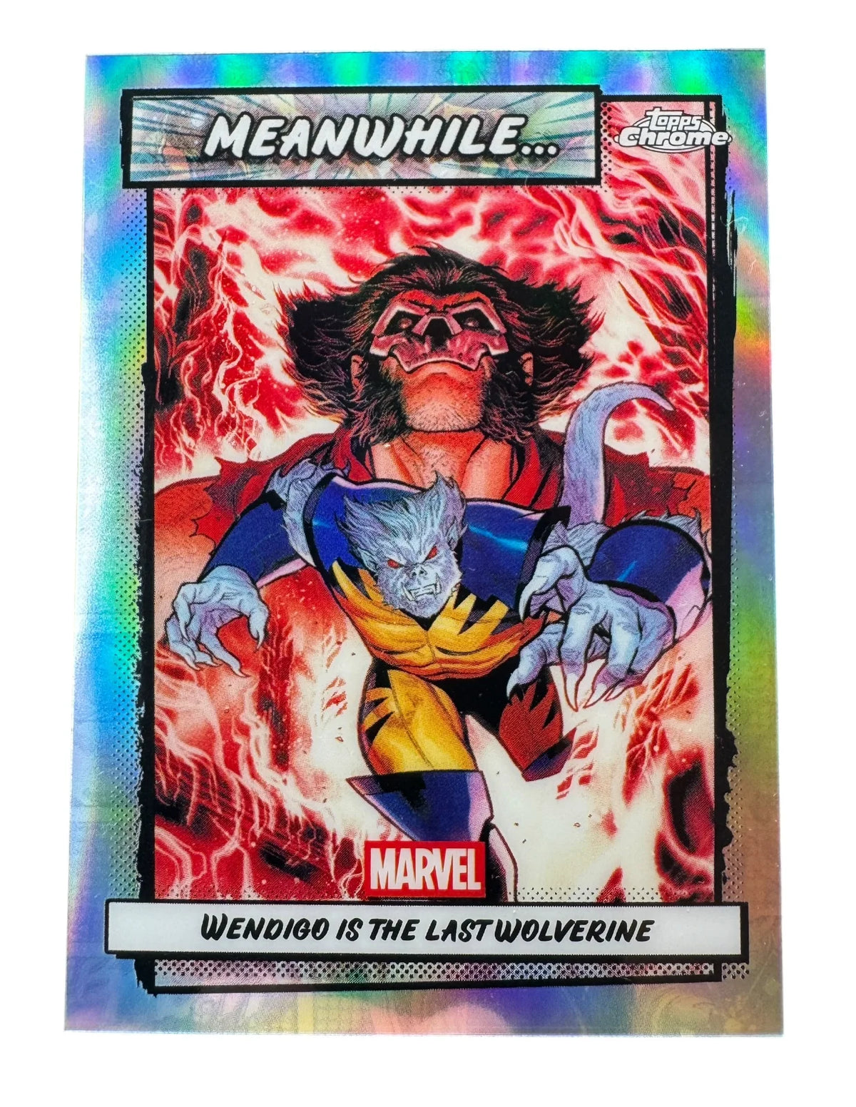 Meanwhile - Wolverine
