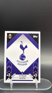 tottenham spurs (64)