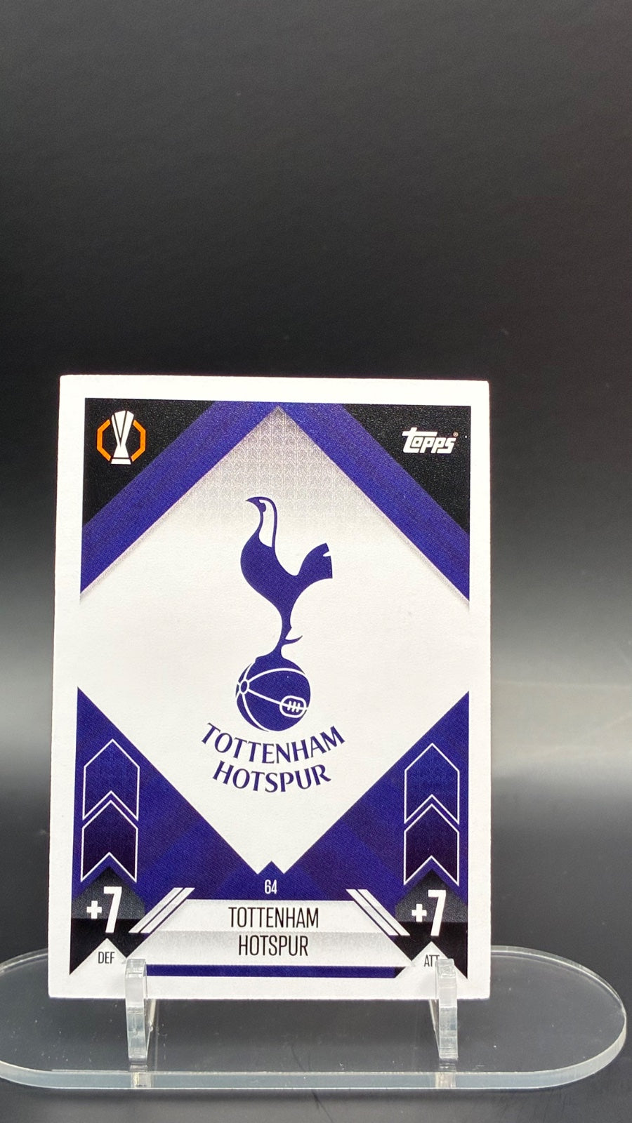 tottenham spurs (64)