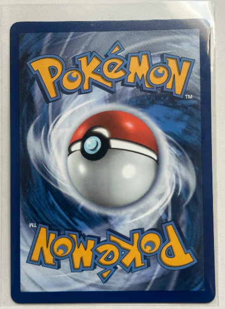 Blaziken V 020/198 (Chilling Reign)