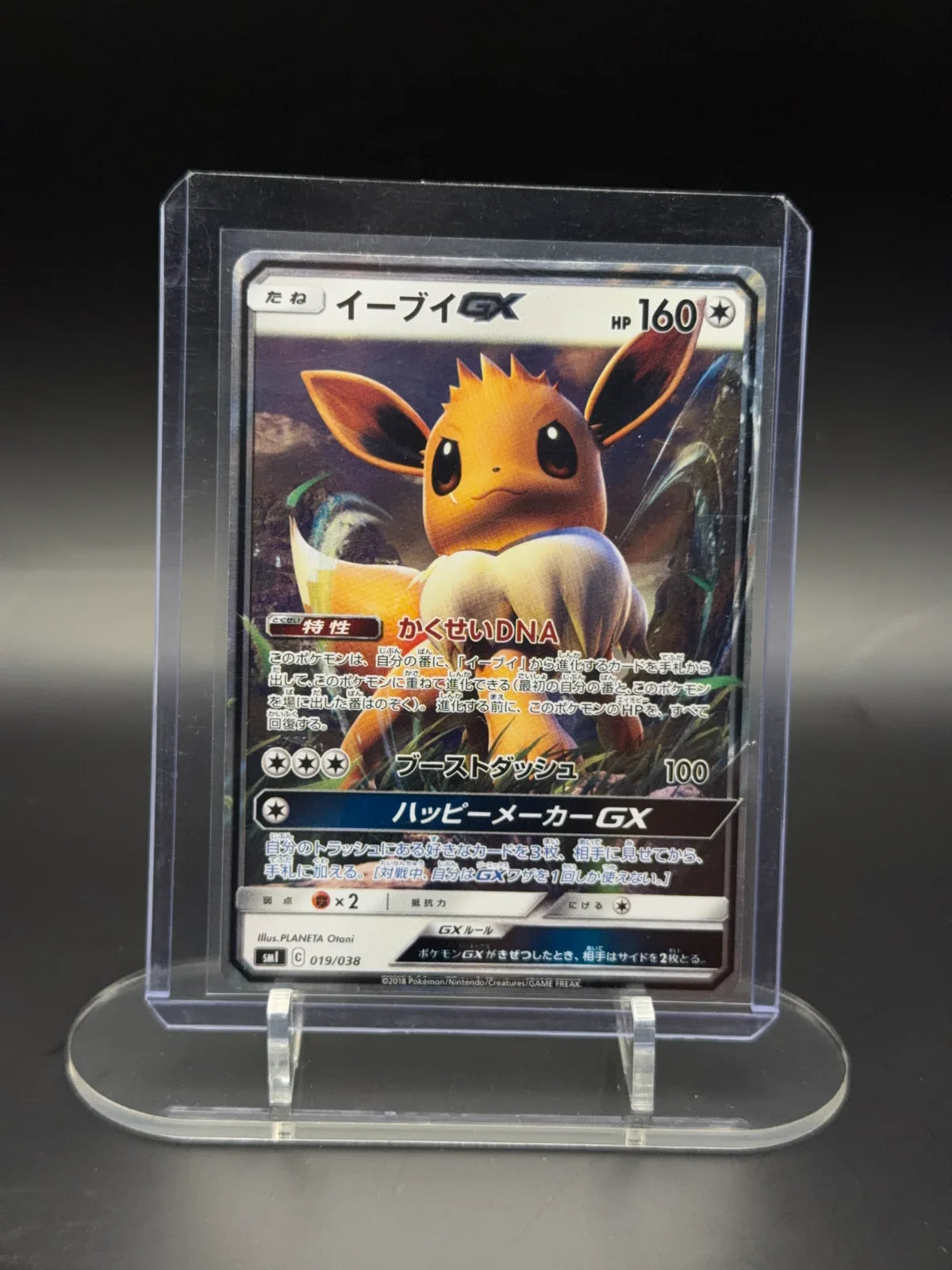 Eevee GX (JP) 019/38 (Flareon GX, Vapreon GX & Jolteon GX Starter Sets)