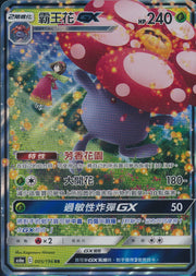 VILEPLUME GX 005/196 AS6a RR Full Art Holo Pokemon Chinese