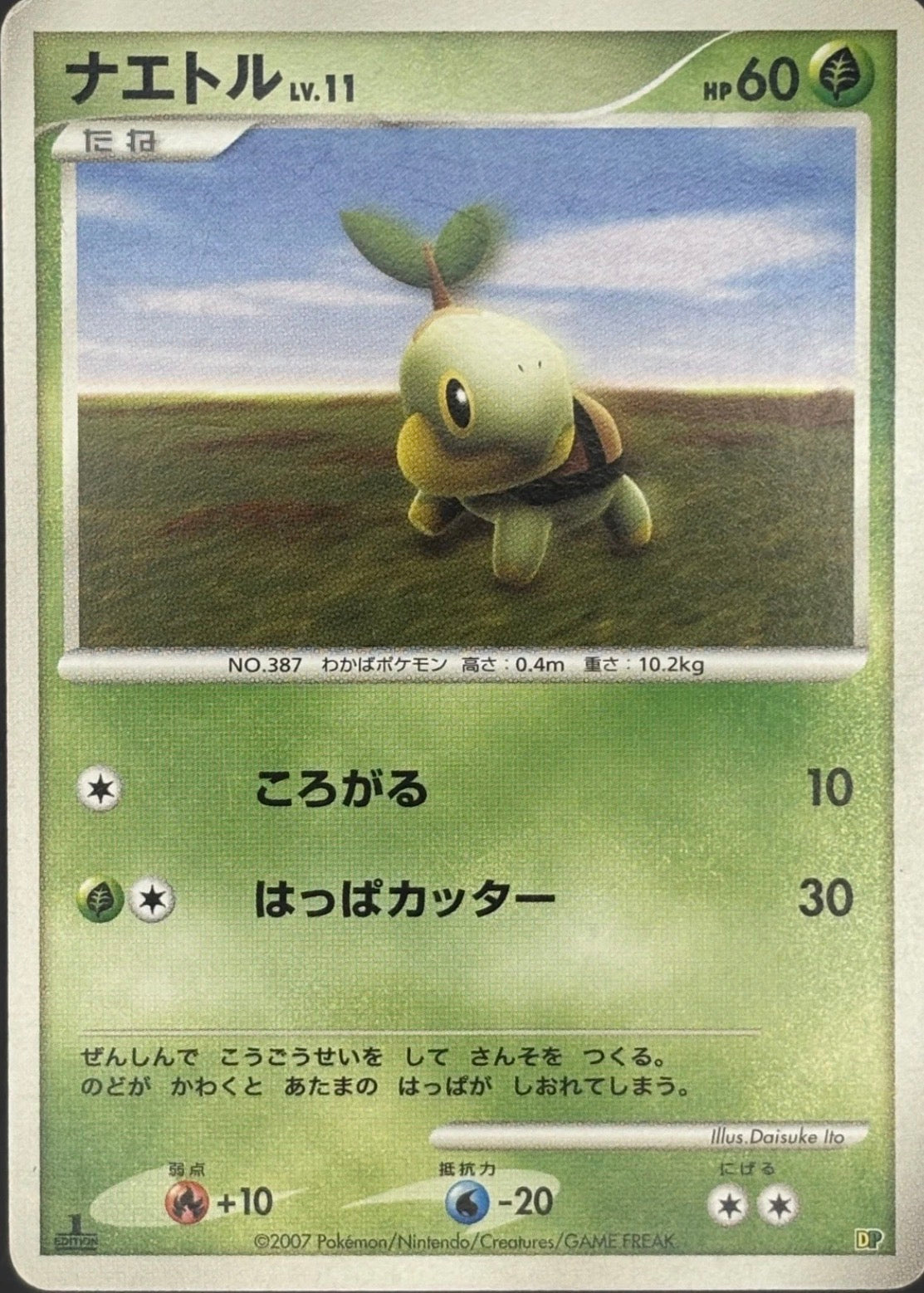 Turtwig - Entry Pack 2008 DP Pokemon Card
