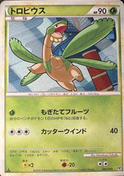 Tropius 004/019 MP - 2010 Japanese Pokémon - Steelix Constructed Standard Deck