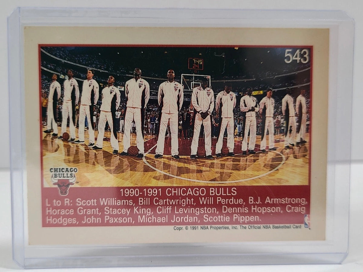 1991 NBA Hoops 1991 NBA Champions Chicago Bulls Card - Michael Jordan #543
