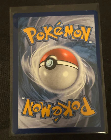 Charizard V SWSH260 (Sword & Shield Promo)