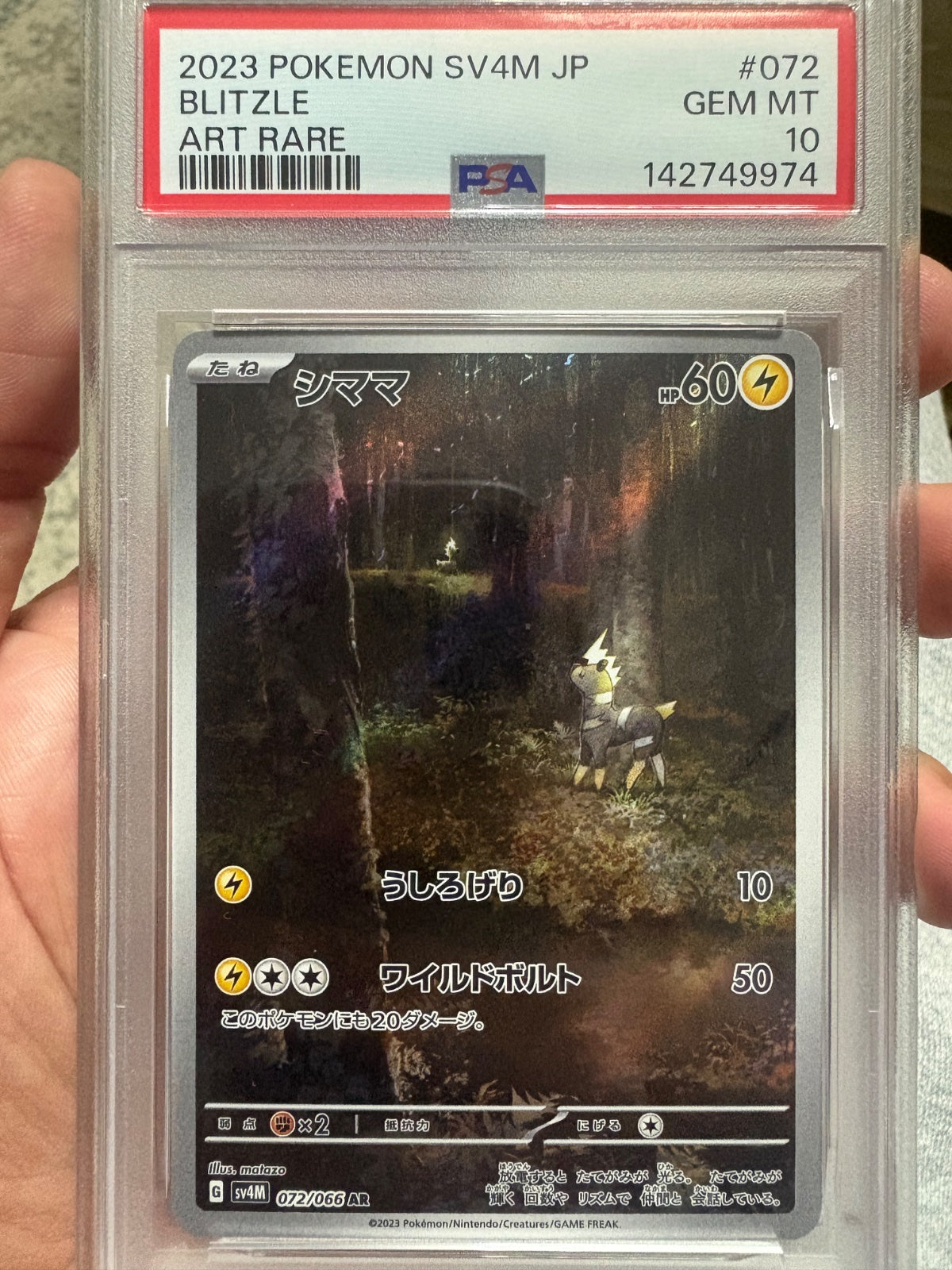 Blitzle (JP) 072/066 (Future Flash) — PSA 10