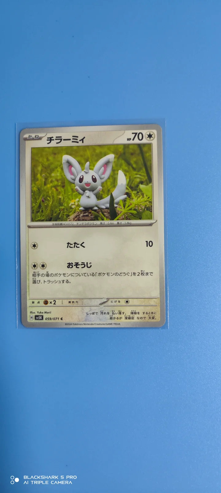 Minccino (JP) 059/071 (Wild Force)