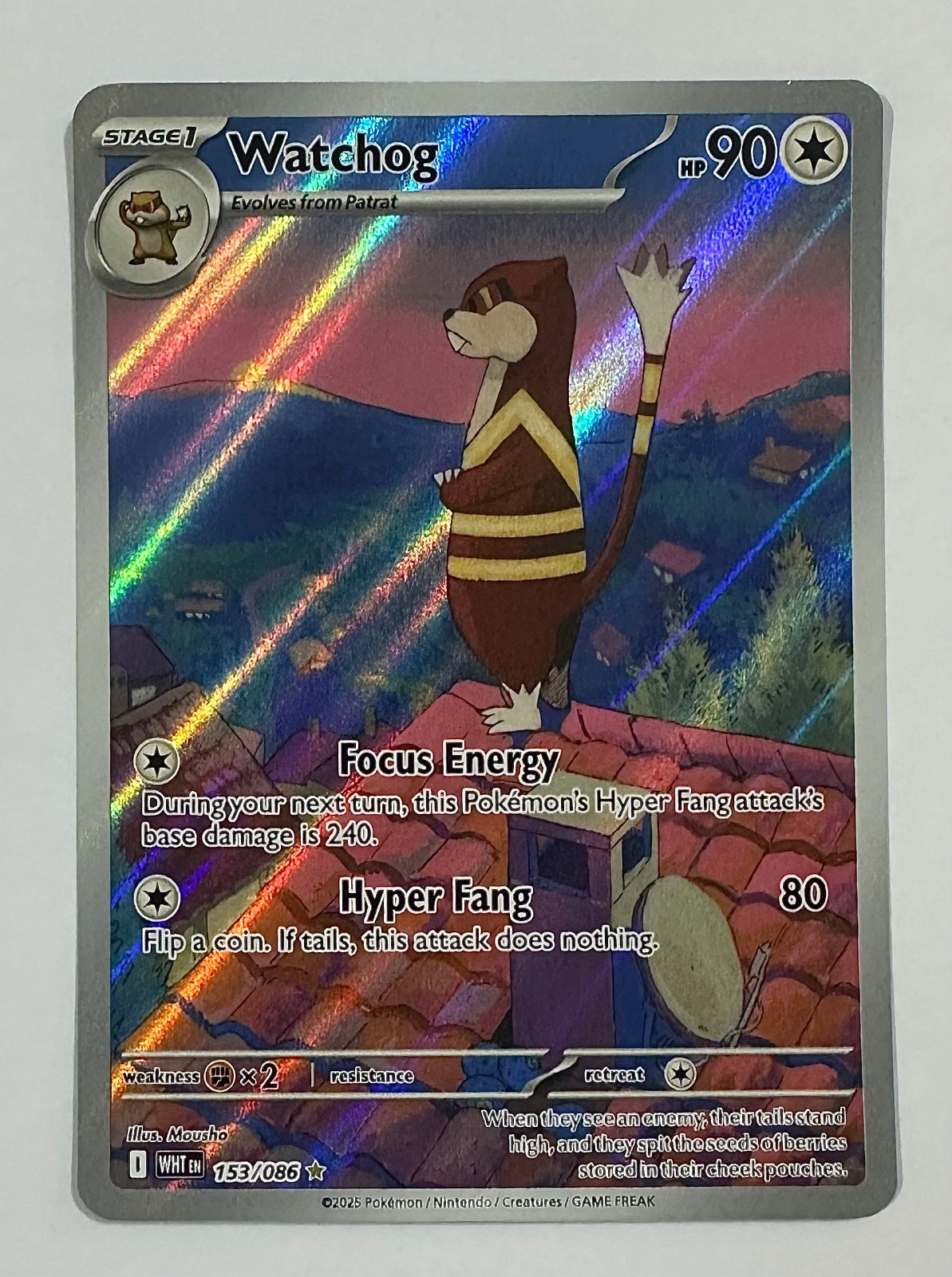 Watchog Illustration Rare