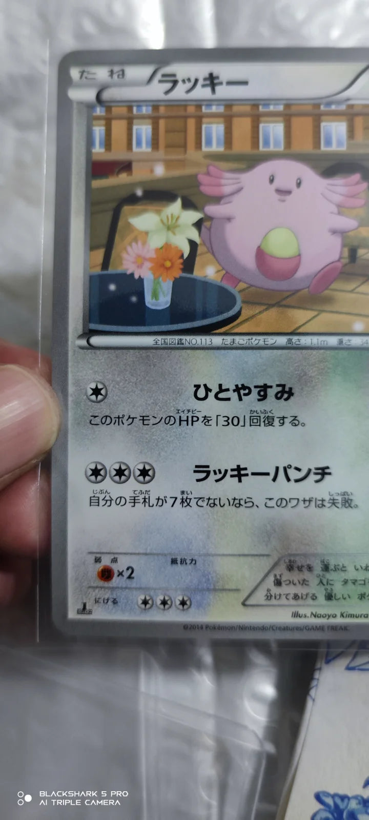 Chansey (JP) 068/088 (Phantom Gate)