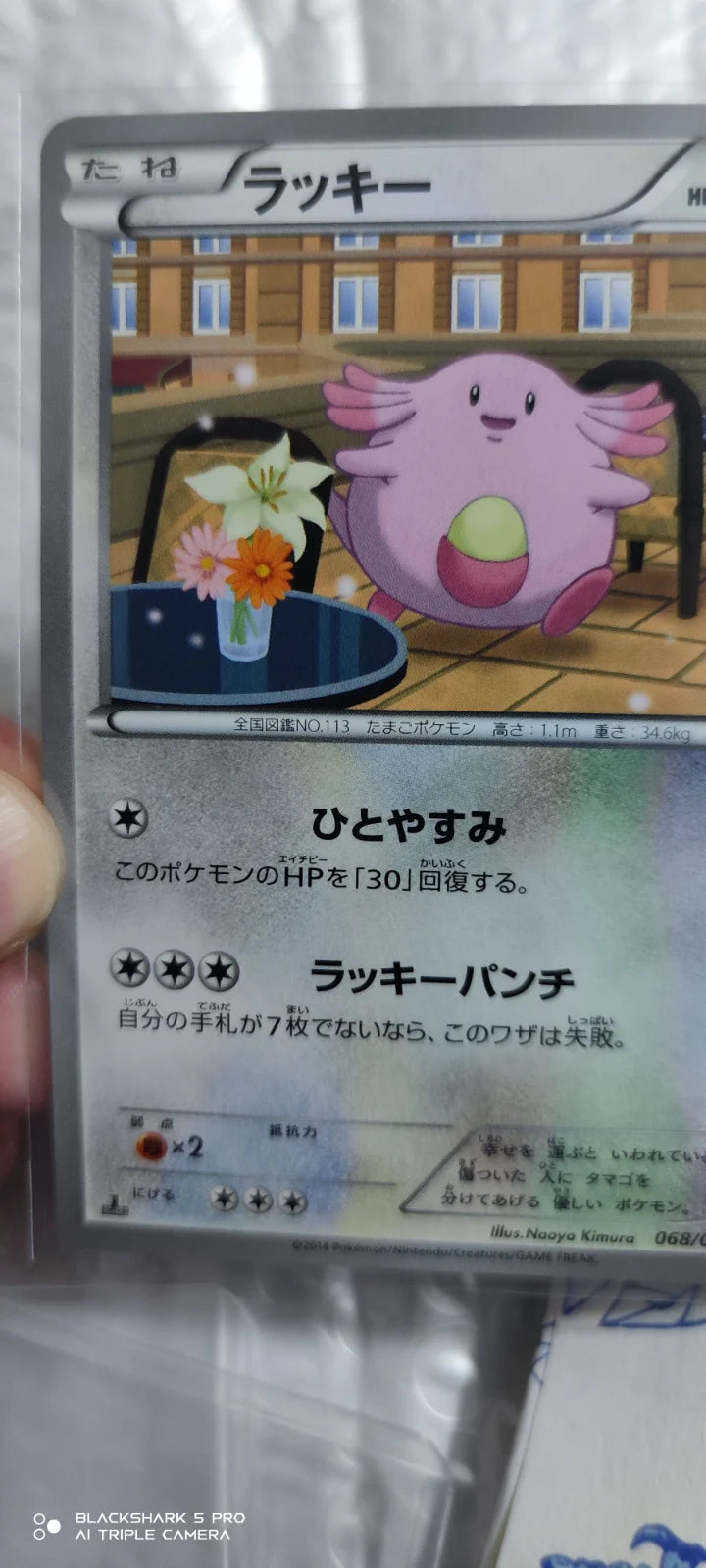 Chansey (JP) 068/088 (Phantom Gate)