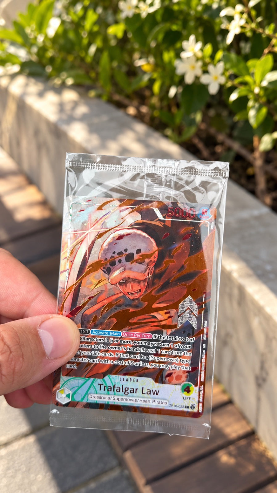 Trafalgar Law (Flame-Flame Fruit Coliseum) OP10-022 (One Piece Promotion Cards)